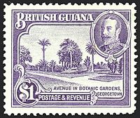 COLONIE INGLESI BRITISH GUIANA 