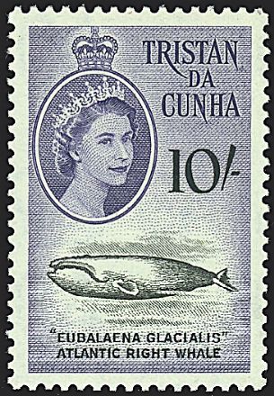 COLONIE INGLESI - TRISTAN DA CUNHA  - Catalogo Catalogo di vendita su offerte - Studio Filatelico Toselli