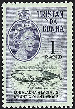 COLONIE INGLESI - TRISTAN DA CUNHA  - Catalogo Catalogo di vendita su offerte - Studio Filatelico Toselli