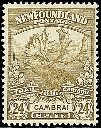 COLONIE INGLESI - NEWFOUNDLAND  - Catalogo Catalogo di vendita su offerte - Studio Filatelico Toselli
