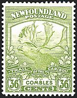 COLONIE INGLESI NEWFOUNDLAND 
