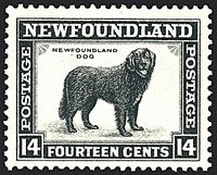COLONIE INGLESI NEWFOUNDLAND 