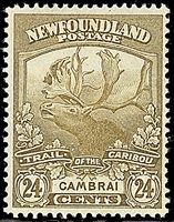 COLONIE INGLESI NEWFOUNDLAND 