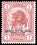 COLONIE ITALIANE - SOMALIA  (1921)  - Catalogo Catalogo di Vendita a prezzi netti - Studio Filatelico Toselli