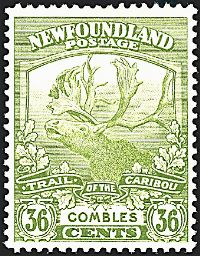 COLONIE INGLESI NEWFOUNDLAND 