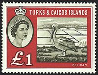 COLONIE INGLESI TURKS & CAICOS 