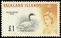 COLONIE INGLESI FALKLAND 