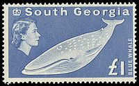 COLONIE INGLESI SOUTH GEORGIA 