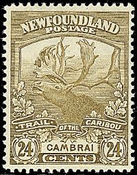 COLONIE INGLESI NEWFOUNDLAND 